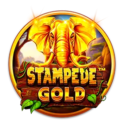 112bet pv bet cassino Jogue online